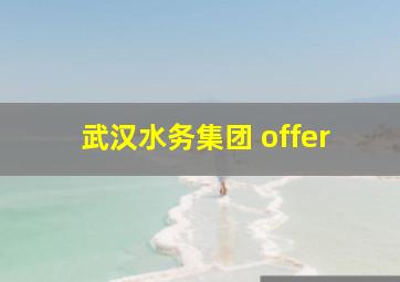 武汉水务集团 offer